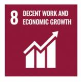 SDG-8.jpg