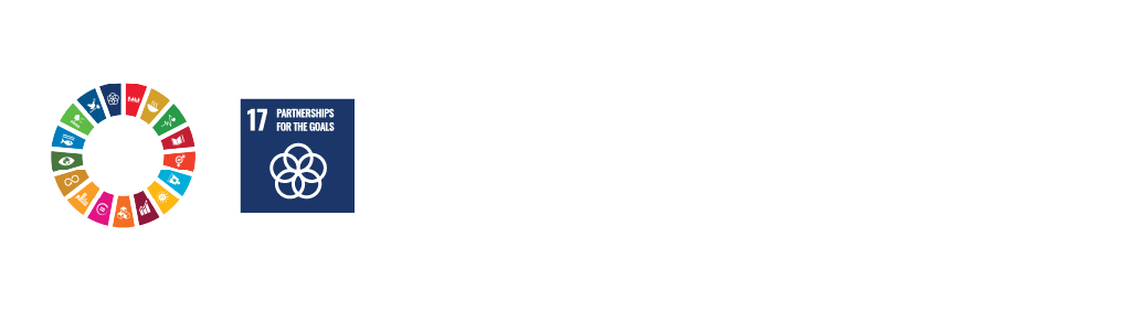 SDG.png